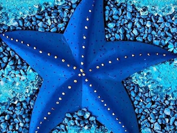 blue beauty, star, ocean star